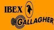Ibex by Gallagher