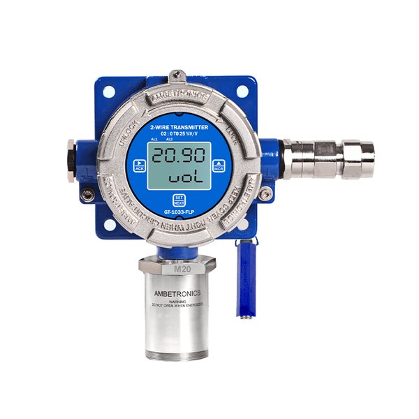 Oxygen gas detector with display